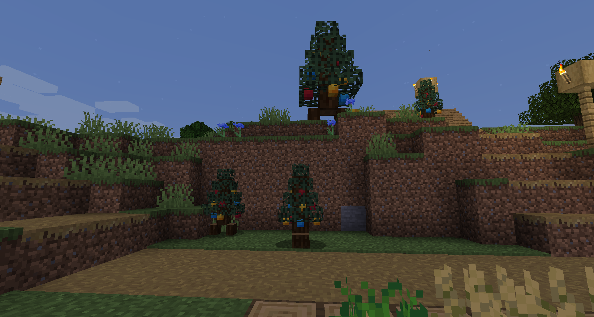 Image showcasing Spruce Willis and Grandfather Willis The Xmas Tree